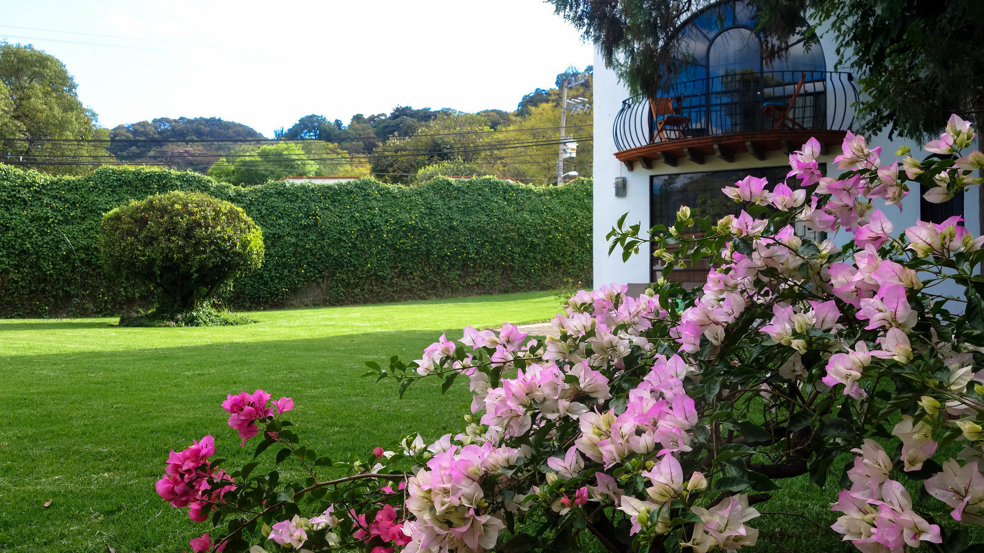 Colibri Hotel B&B Tepoztlan Exterior photo